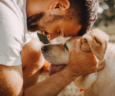 Why Biodegradable Pet Wipes Are a Must for Every Dog Owner