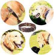 TerraLeash™ Genuine Leather Dog Collar
