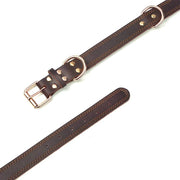 TerraLeash™ Genuine Leather Dog Collar