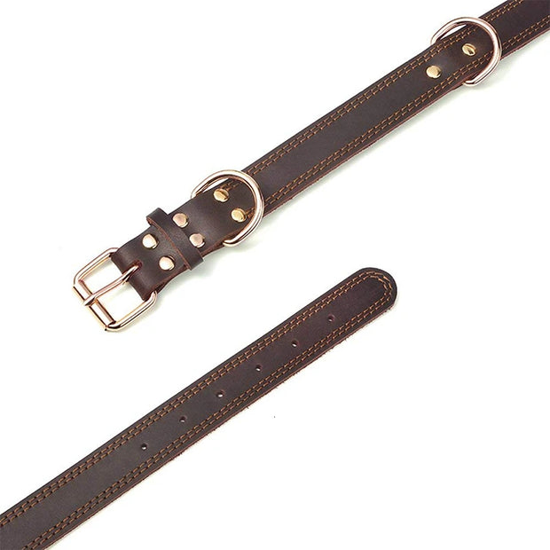 TerraLeash™ Genuine Leather Dog Collar