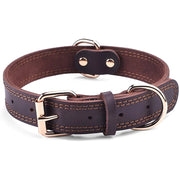TerraLeash™ Genuine Leather Dog Collar