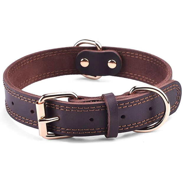 TerraLeash™ Genuine Leather Dog Collar