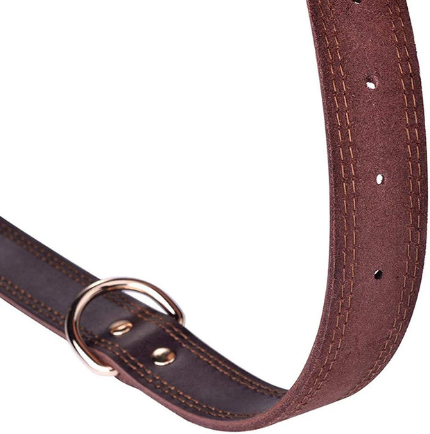 TerraLeash™ Genuine Leather Dog Collar