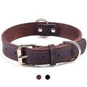 TerraLeash™ Genuine Leather Dog Collar