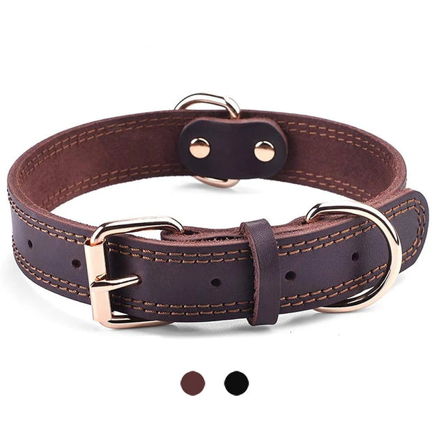 TerraLeash™ Genuine Leather Dog Collar