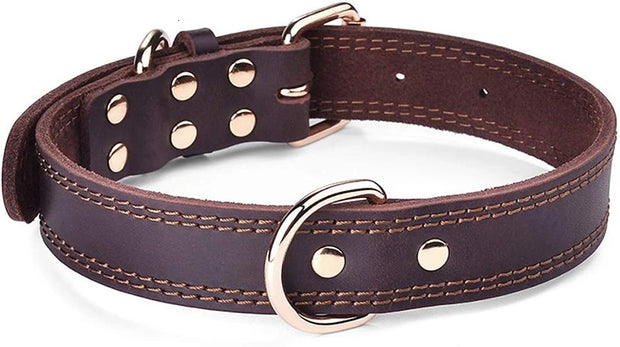 TerraLeash™ Genuine Leather Dog Collar