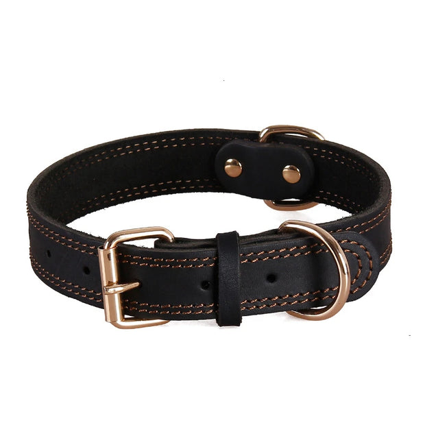 TerraLeash™ Genuine Leather Dog Collar