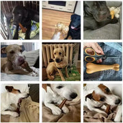 EcoBone™ Indestructible Chew Toy