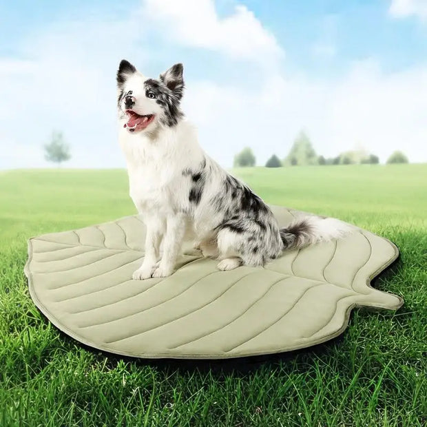 Vagascape™ Eco-Friendly Dog Cooling Mat